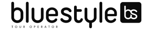 logo Bluestyle